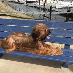 Meet your Posher, Ellen